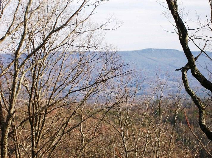 Lot 217 Jason Road Pikeville, TN 37367 - Photo 2 of 26 100_1456