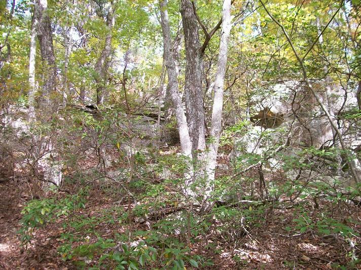 Lot 217 Jason Road Pikeville, TN 37367 - Photo 11 of 26 100_1333
