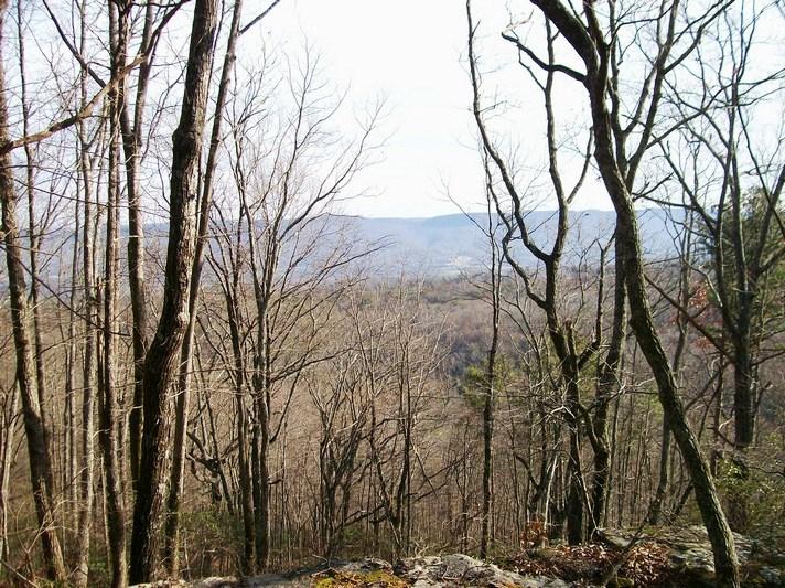 Lot 217 Jason Road Pikeville, TN 37367 - Photo 3 of 26 100_1450
