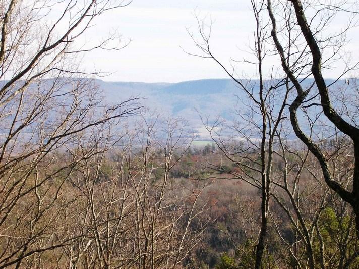 Lot 217 Jason Road Pikeville, TN 37367 - Photo 4 of 26 100_1453