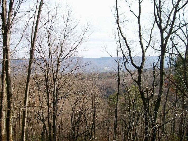 Lot 217 Jason Road Pikeville, TN 37367 - Photo 5 of 26 100_1452