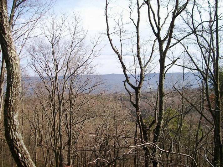 Lot 217 Jason Road Pikeville, TN 37367 - Photo 6 of 26 100_1455