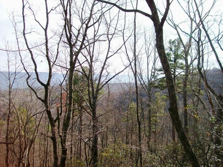 Lot 217 Jason Road Pikeville, TN 37367 - Photo 7 of 26 100_1454