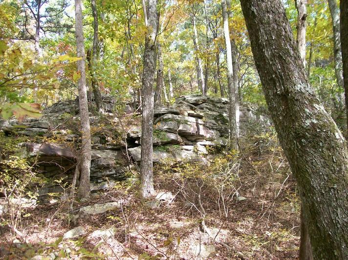Lot 217 Jason Road Pikeville, TN 37367 - Photo 8 of 26 100_1330