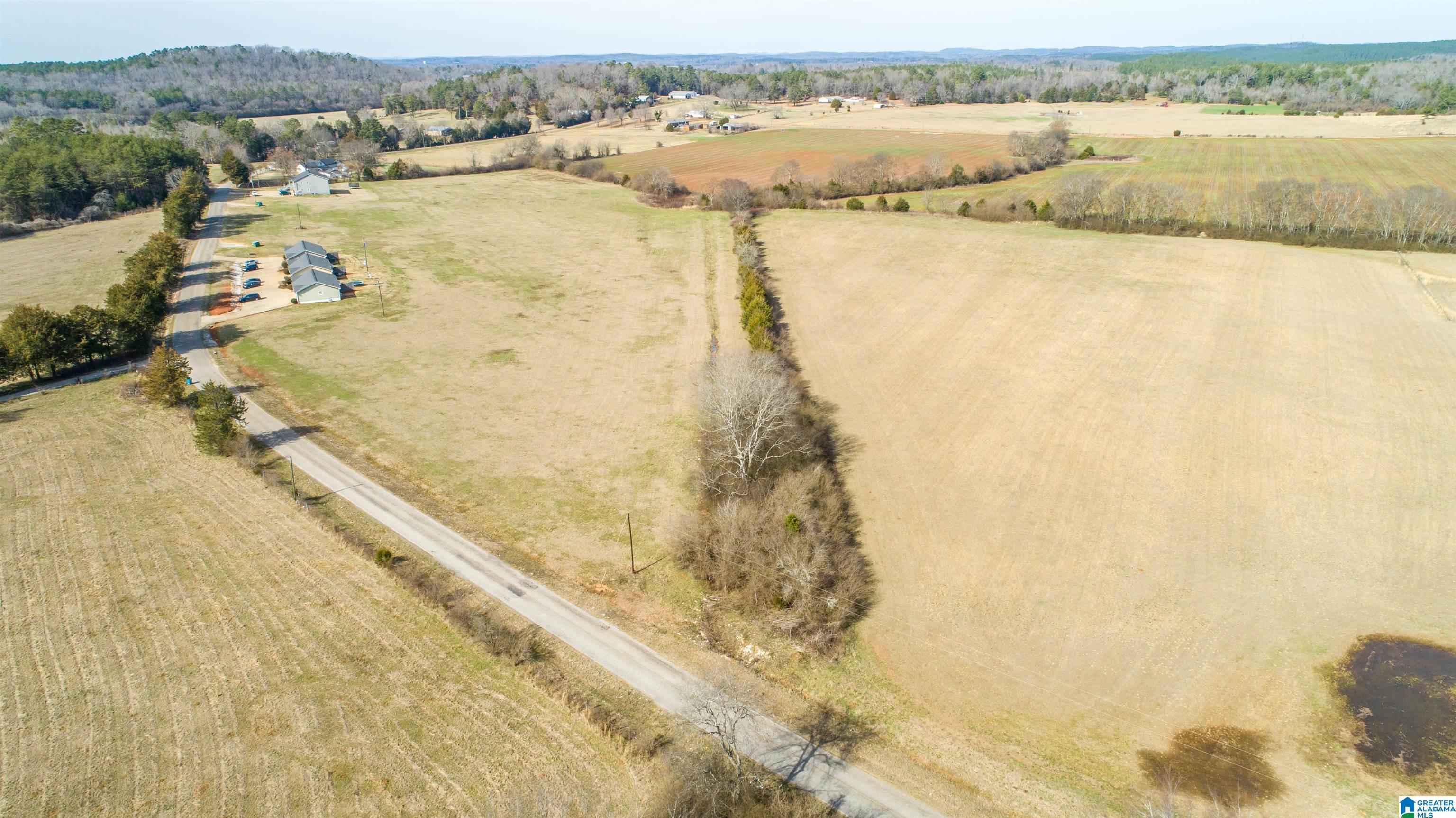 0 Oak Grove Road Munford, AL 36268 - Photo 2 of 9