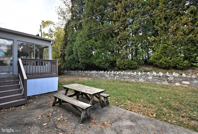 a view of a yard with plants and trees