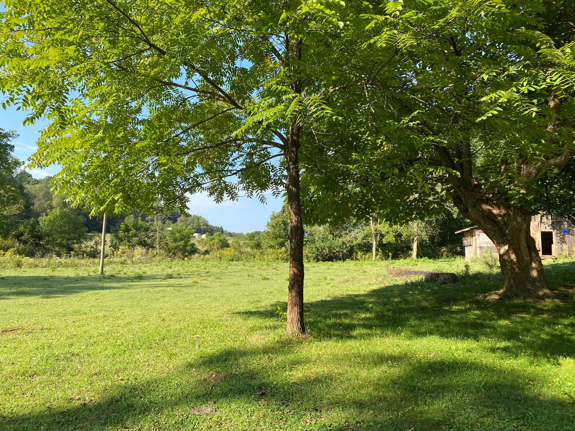 16199 Rust Hollow Road, Unit 26 Abingdon, VA 24210 - Photo 3 of 6 IMG_2772