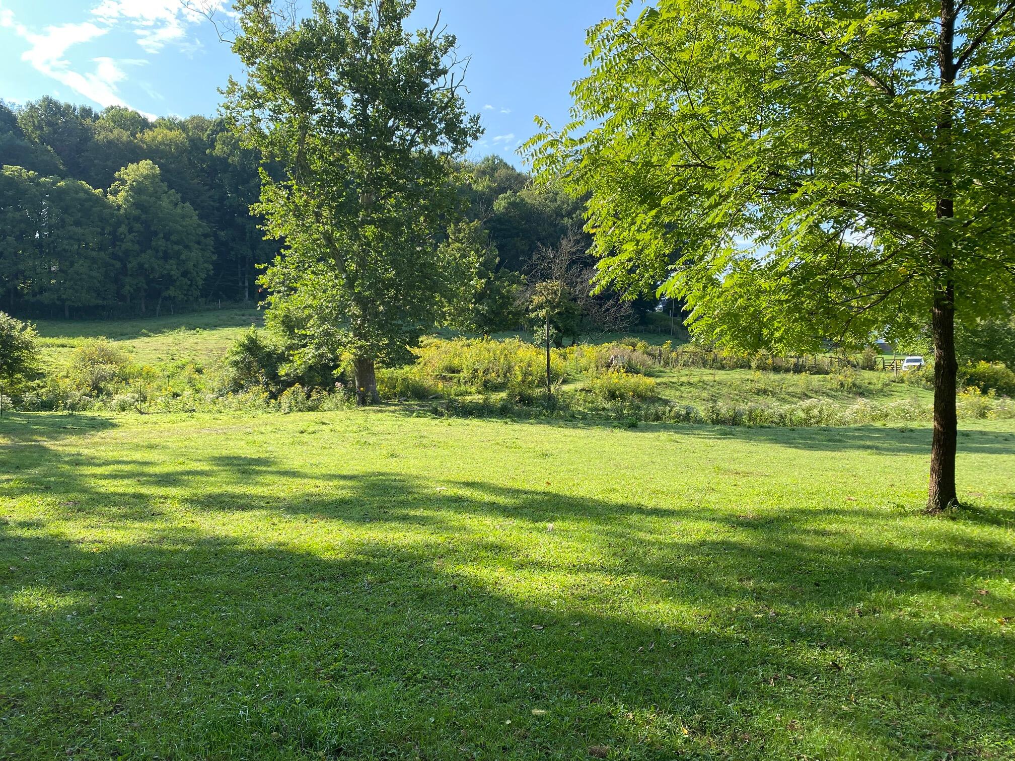16199 Rust Hollow Road, Unit 26 Abingdon, VA 24210 - Photo 5 of 6 IMG_2768