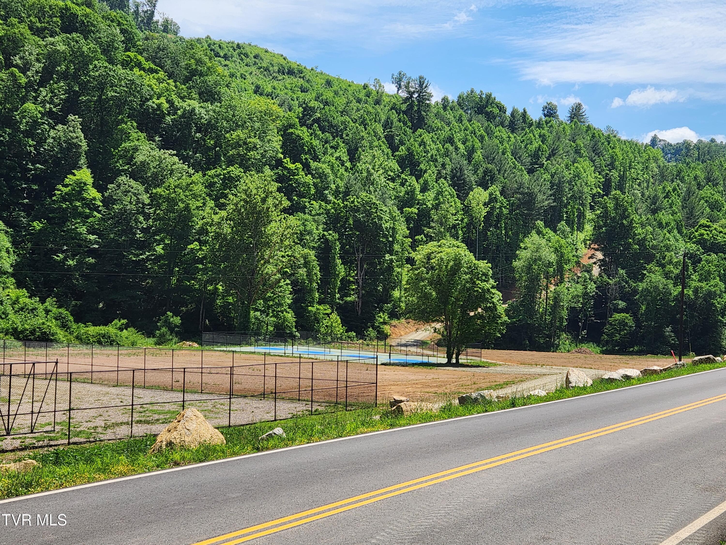 Lot 40 Cowan Town Road, Unit 40 Butler, TN 37640 - Photo 88 of 117 Pickle Ball Area