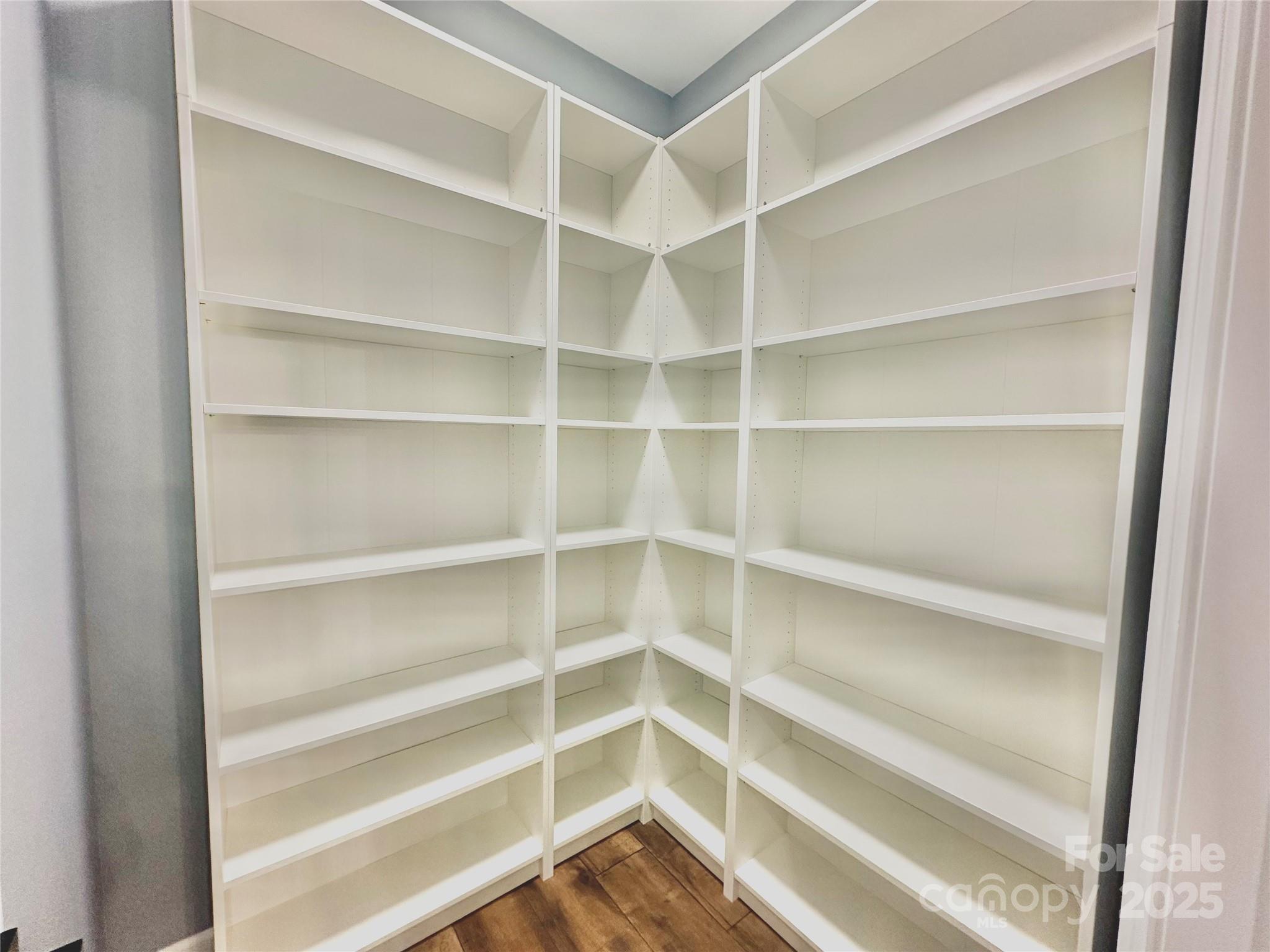 2667 Polo Lane Maiden, NC 28650 - Photo 27 of 36 a view of walk in closet with empty racks