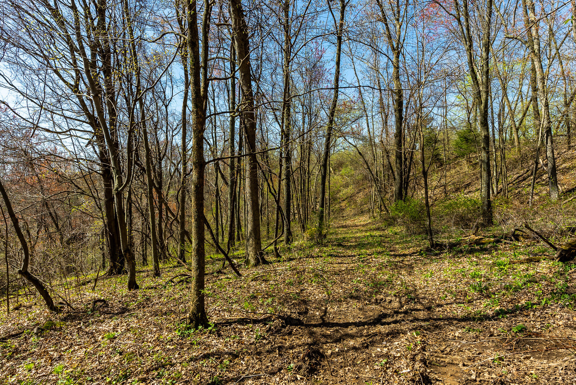 Lt2 Eli Valley Road Hillpoint, WI 53937 - Photo 24 of 47 Sauk-County-WI-53-Acres-Land-For-Sale-24
