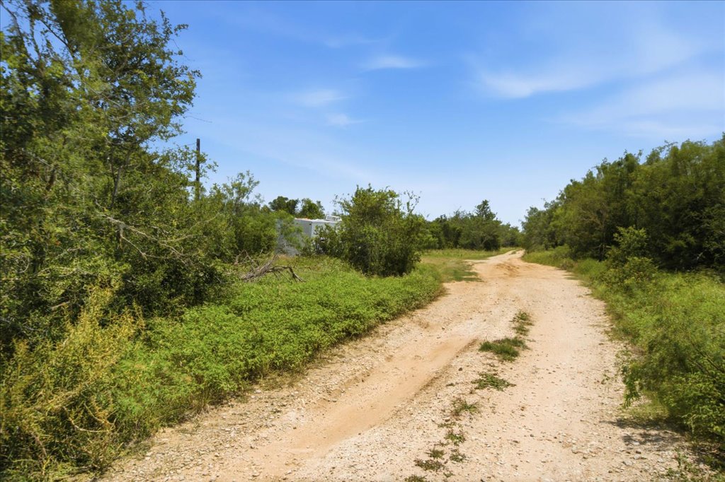 Tbd Fawn Ridge Road Cedar Creek, TX 78612 - Photo 3 of 13