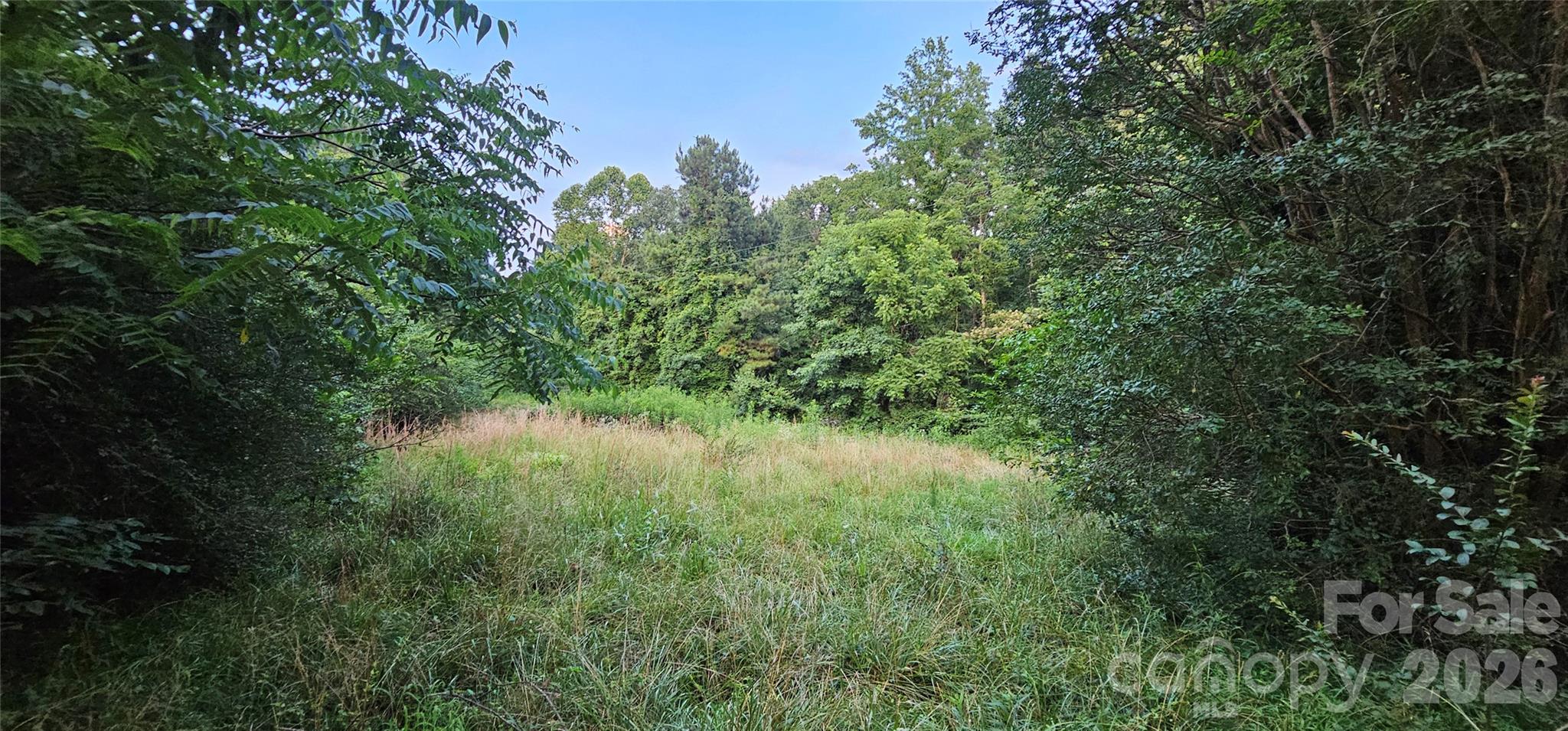 199 Ford Road Ellenboro, NC 28040 - Photo 3 of 5 a view of a lush green forest with lots of trees