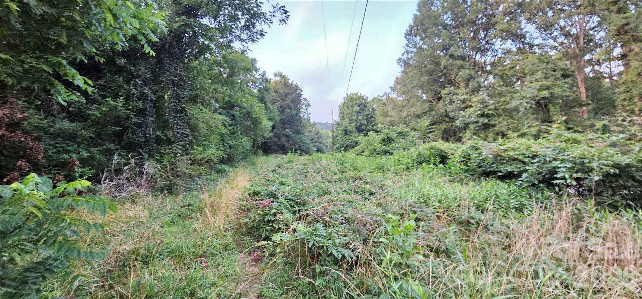 199 Ford Road Ellenboro, NC 28040 - Photo 4 of 5 a view of a lush green forest