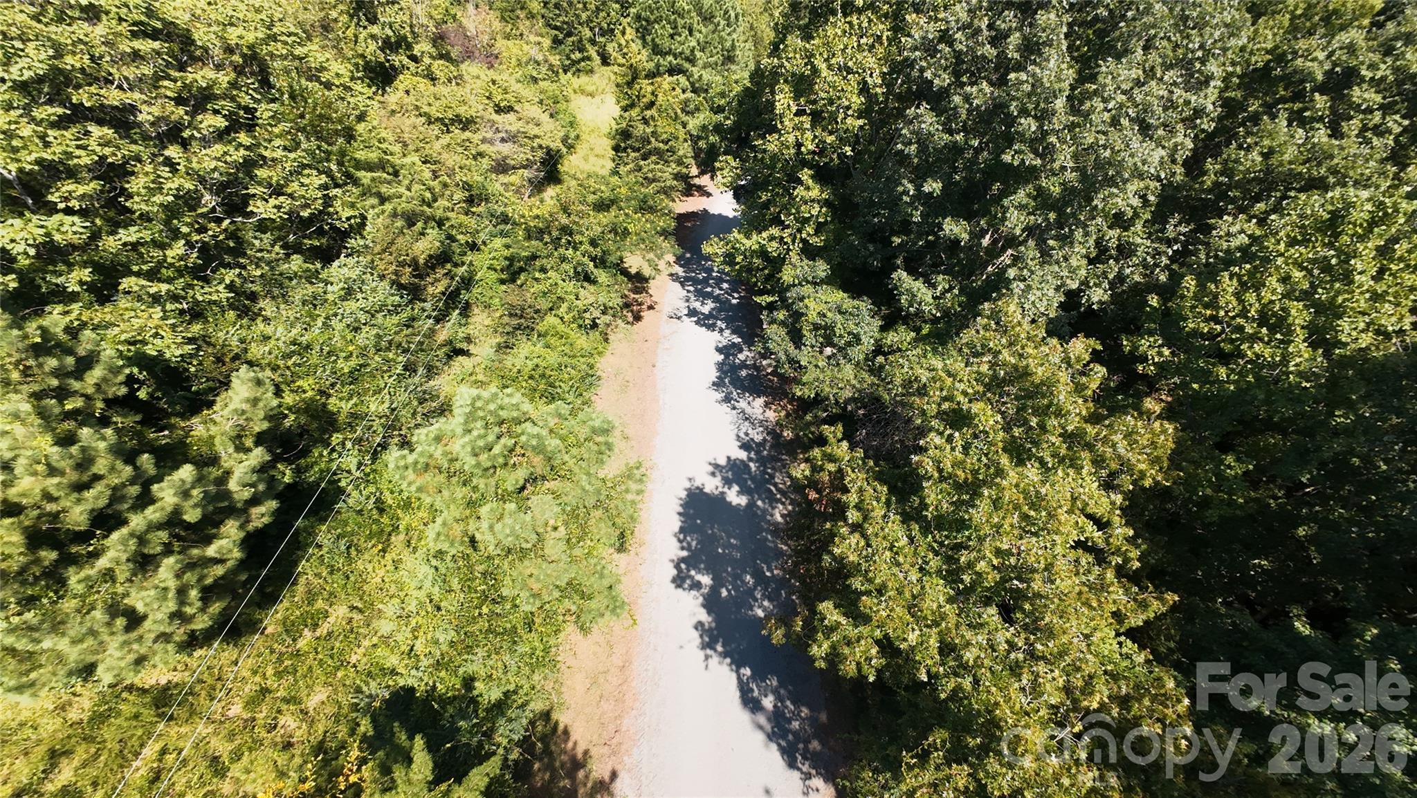 199 Ford Road Ellenboro, NC 28040 - Photo 5 of 5 a view of a tree