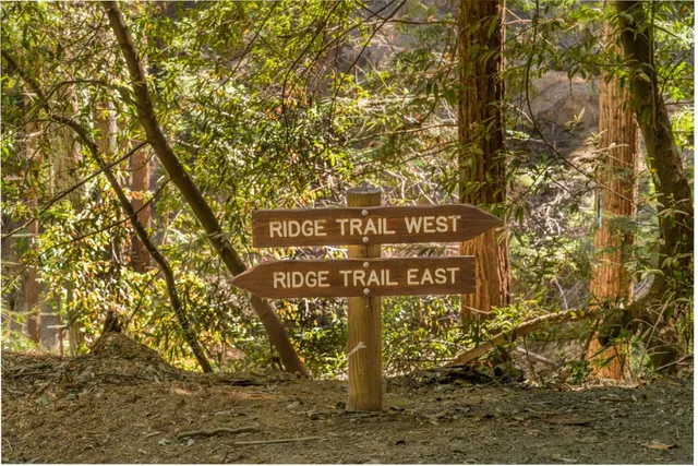 $14,500,000 | 25373 Spanish Ranch Road, Los Gatos, CA 95033