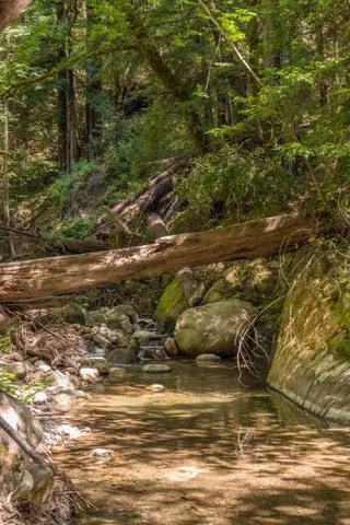 $14,500,000 | 25373 Spanish Ranch Road, Los Gatos, CA 95033