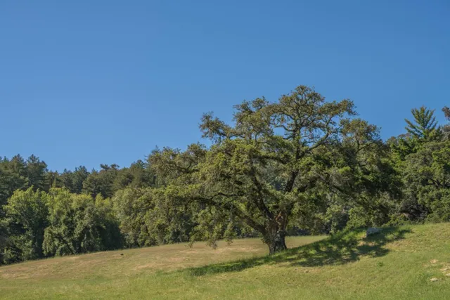 $14,500,000 | 25373 Spanish Ranch Road, Los Gatos, CA 95033