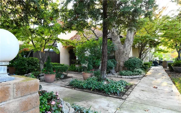 a view of a garden with plants