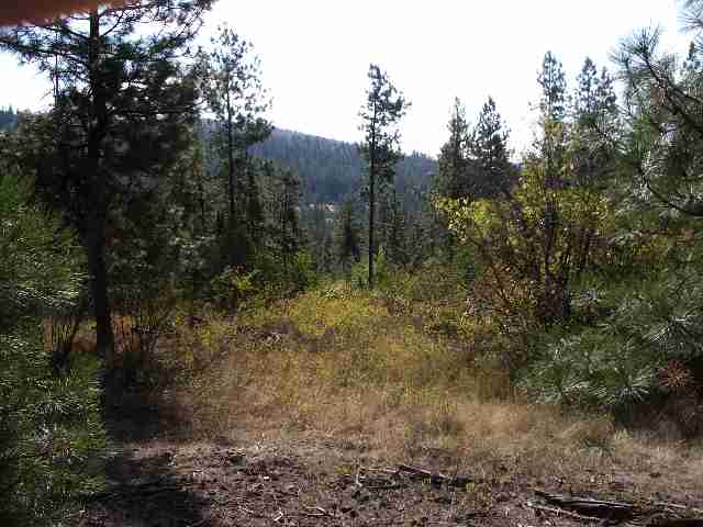 0 South Swenson Road Nine Mile Falls, WA 99026 - Photo 1 of 3 Gallery Image 1