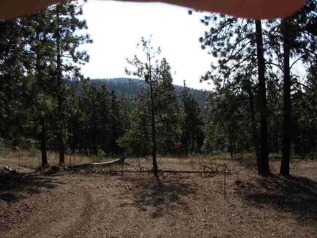 0 South Swenson Road Nine Mile Falls, WA 99026 - Photo 2 of 3 Gallery Image 2