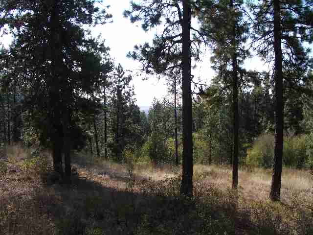 0 South Swenson Road Nine Mile Falls, WA 99026 - Photo 3 of 3 Gallery Image 3