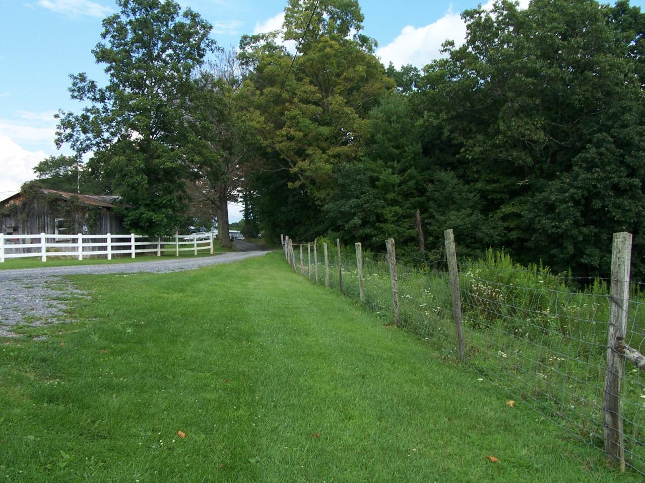 37 Vaughn Road Frankford, WV 24938 - Photo 5 of 21 Looking out from the front of the house