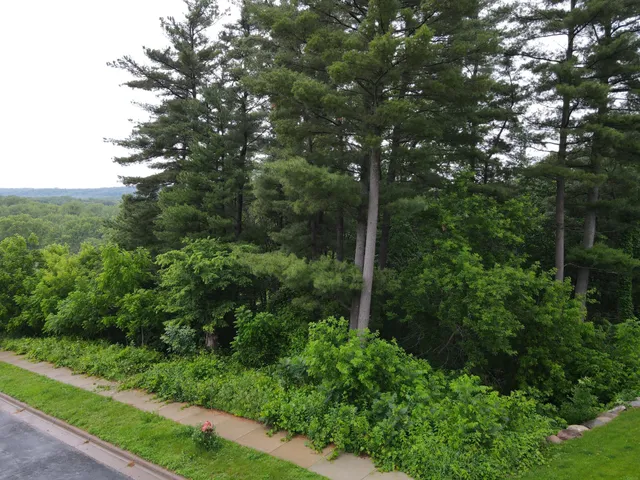 $119,900 | 925 Riverview Lane, Belle Plaine, MN 56011