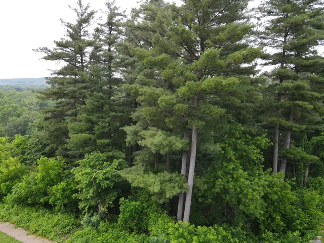 $119,900 | 925 Riverview Lane, Belle Plaine, MN 56011