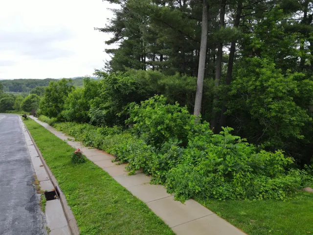 $119,900 | 925 Riverview Lane, Belle Plaine, MN 56011