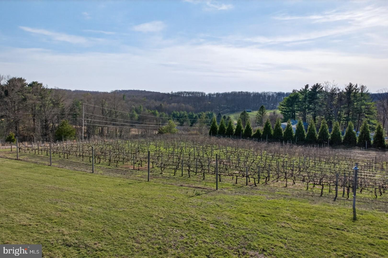 596 Harman Road Halifax, PA 17032 - Photo 19 of 34 a view of lake with green space