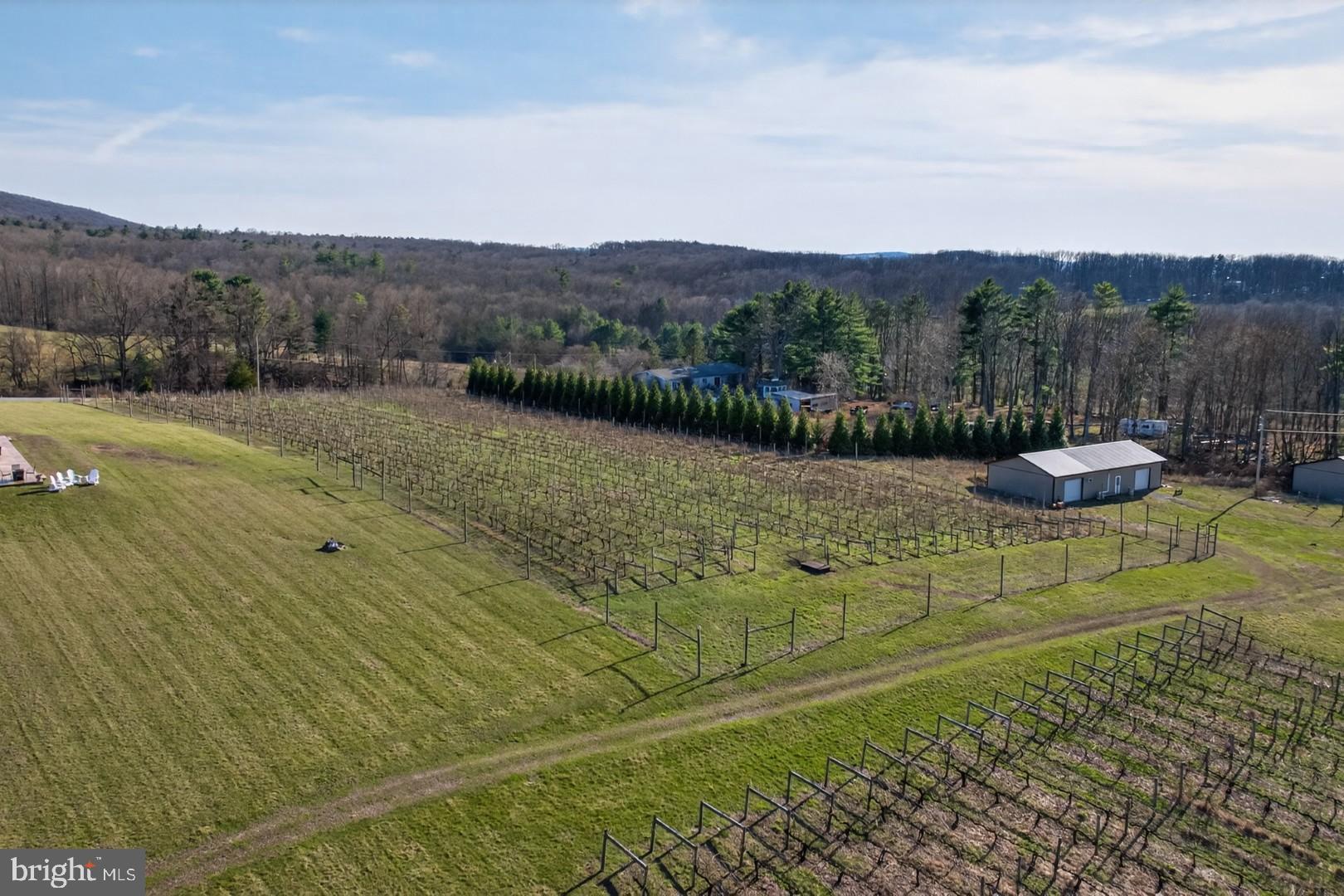 596 Harman Road Halifax, PA 17032 - Photo 20 of 34 a view of lake with mountain
