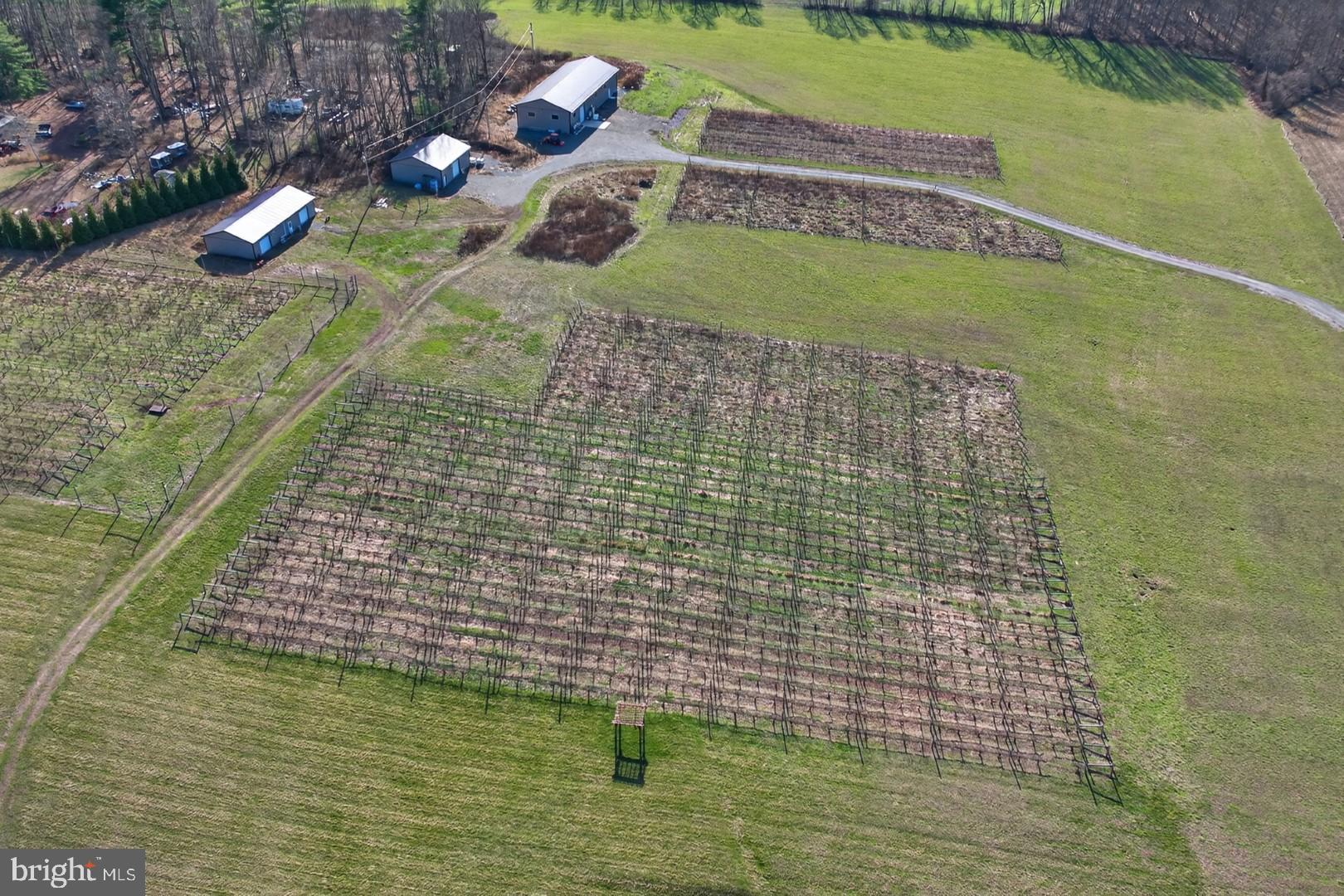 596 Harman Road Halifax, PA 17032 - Photo 21 of 34 a view of a swimming pool with a yard
