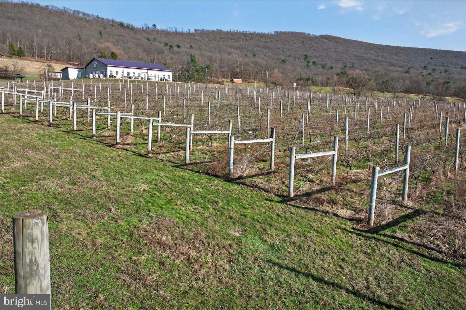 596 Harman Road Halifax, PA 17032 - Photo 27 of 34 a view of a backyard with wooden fence