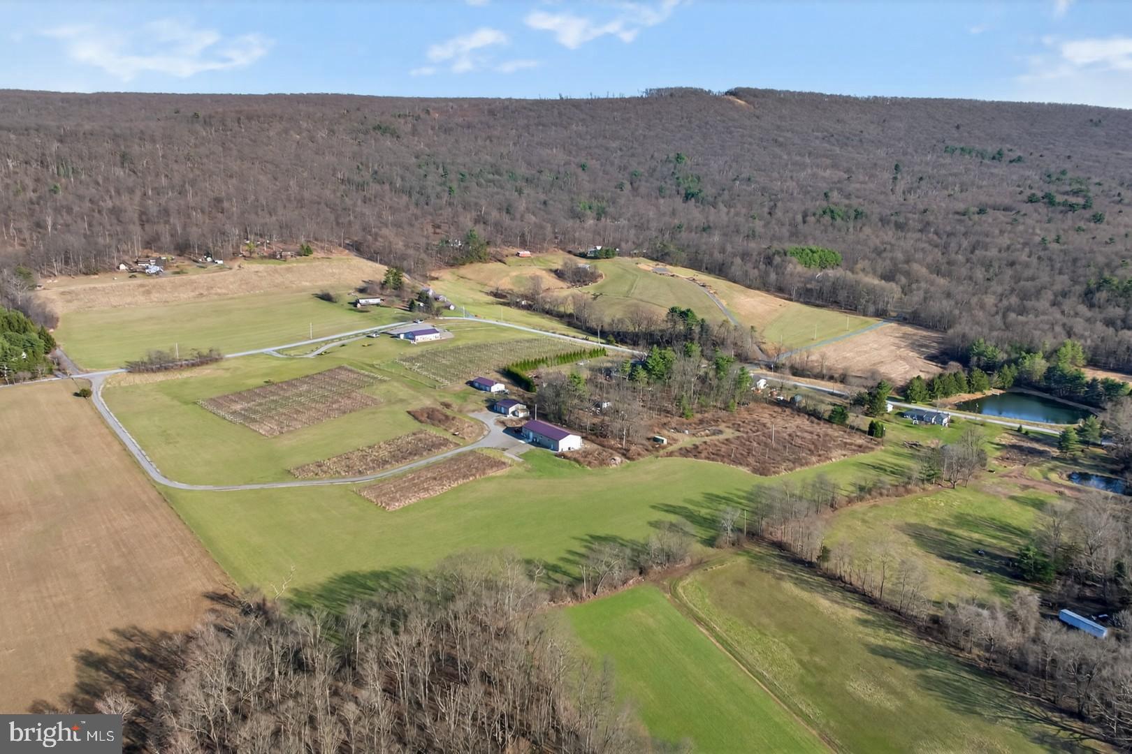 596 Harman Road Halifax, PA 17032 - Photo 29 of 34 a view of a backyard