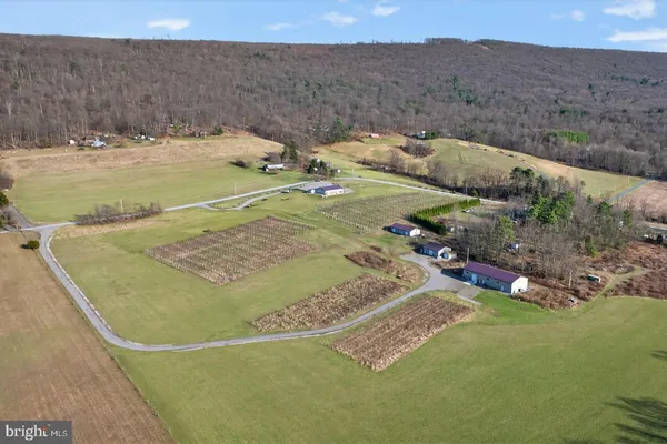 a aerial view of a garden with an outdoor space