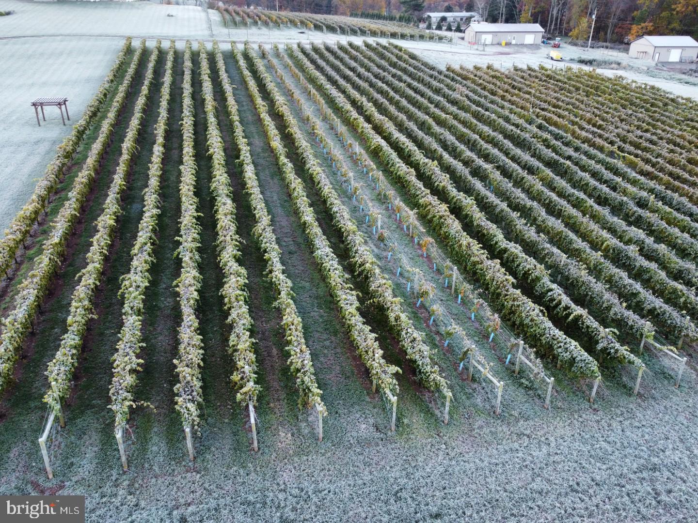 596 Harman Road Halifax, PA 17032 - Photo 34 of 34 a view of outdoor space