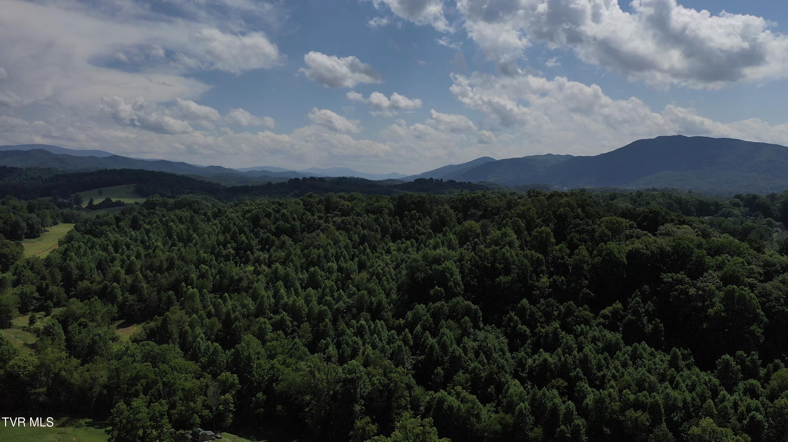 12-ac Max Jett Road Johnson City, TN 37601 - Photo 23 of 27 _Pic25 (3)