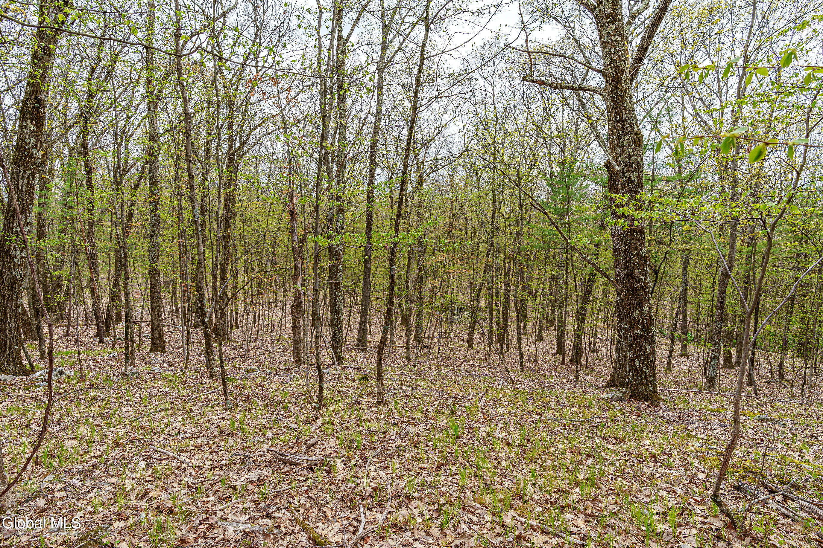 83 Maschodack Road Nassau, NY 12123 - Photo 10 of 26 006-Mashodack-Rd-Nassau-NY-12123