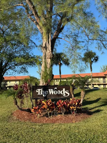 an outdoor space with lots of trees