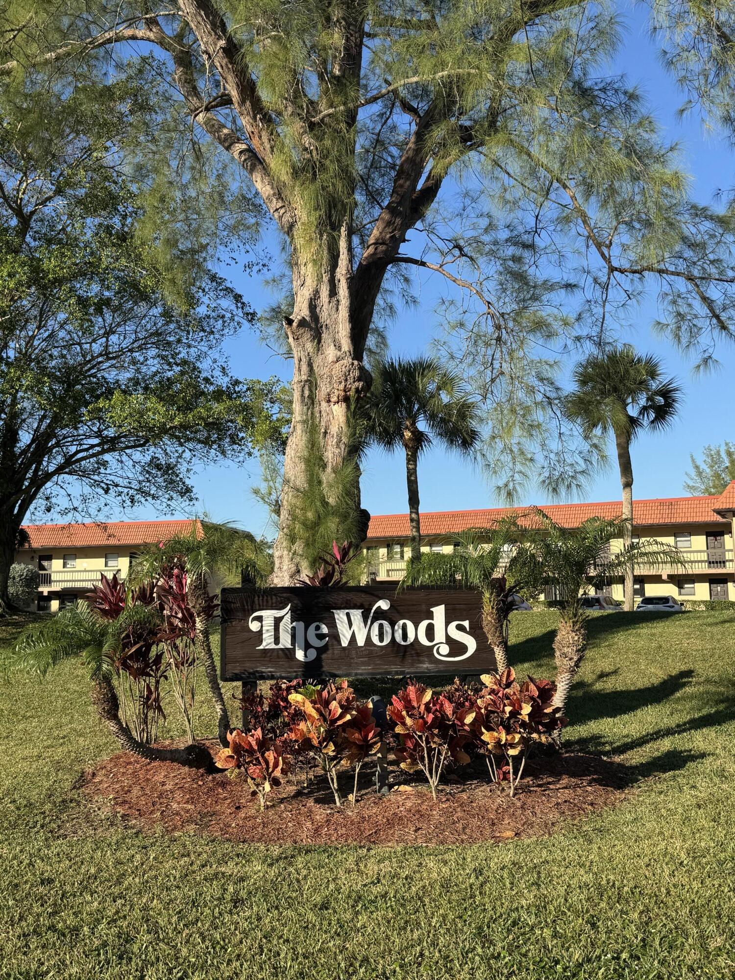 an outdoor space with lots of trees