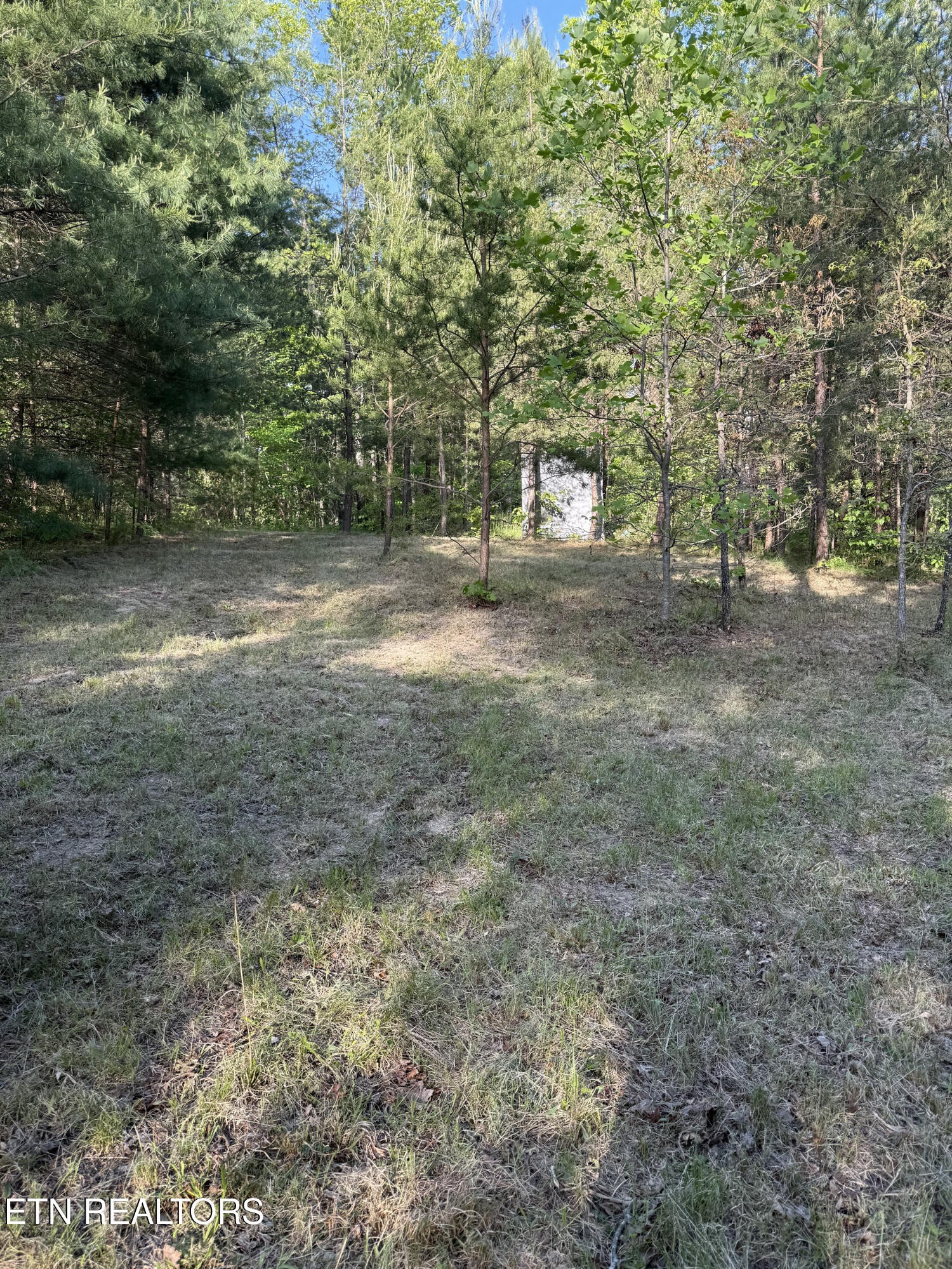 0 Genesis Road Crossville, TN 38555 - Photo 2 of 15