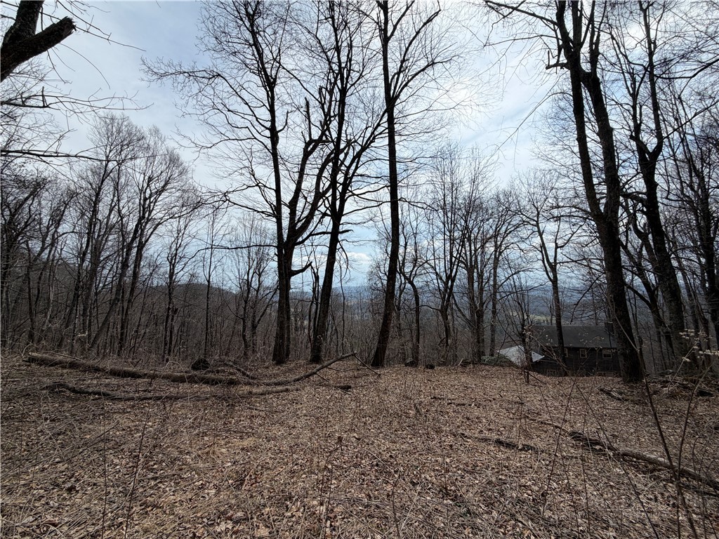 Rocky Mountain Road Boone, NC 28607 - Photo 1 of 21 a view of backyard space with large trees