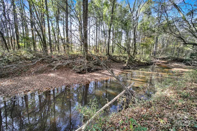 a view of backyard with green space