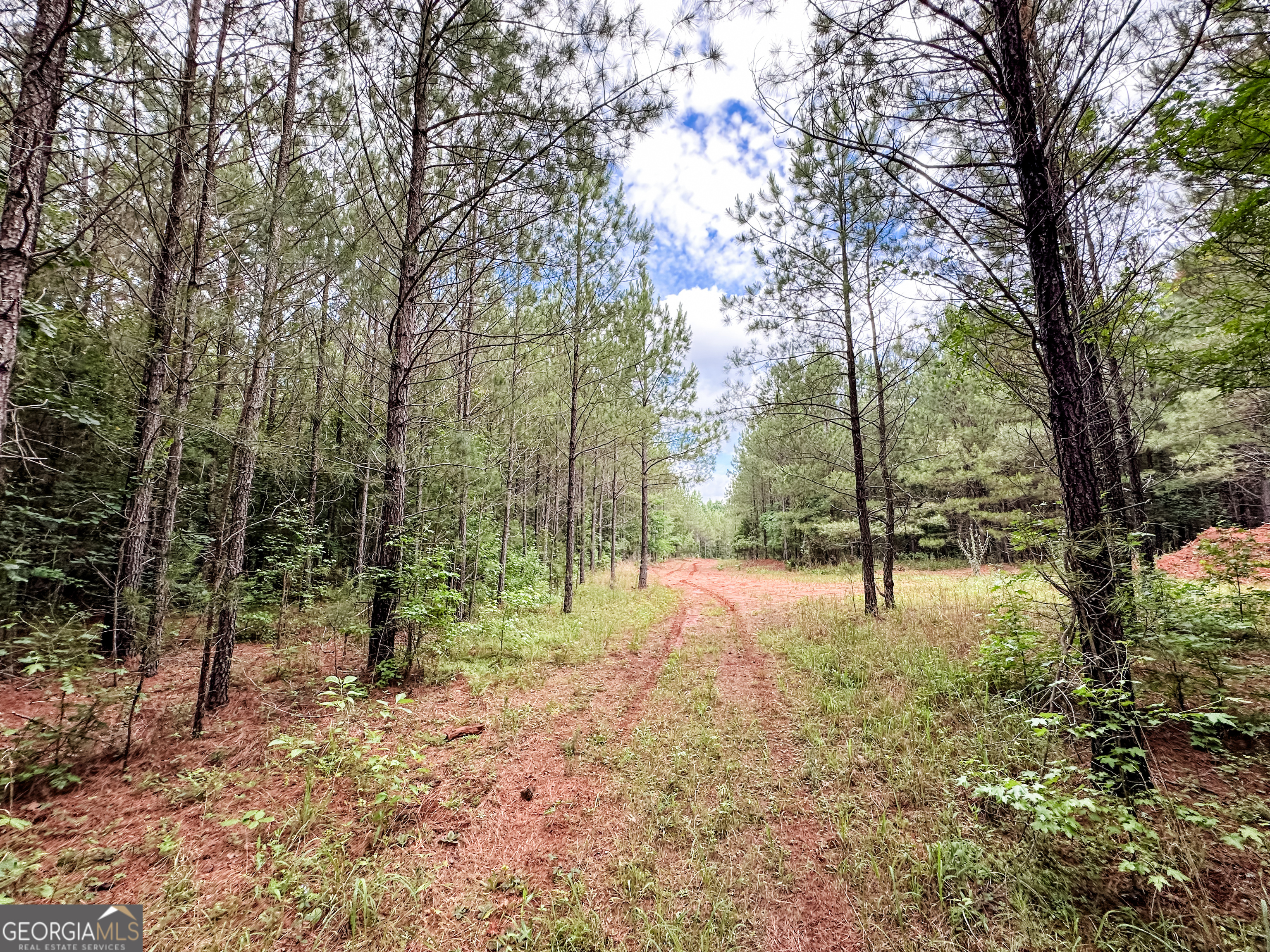 52.4-acres Goolsby Road, Unit 52 4 ACRES Monticello, GA 31064 - Photo 25 of 25