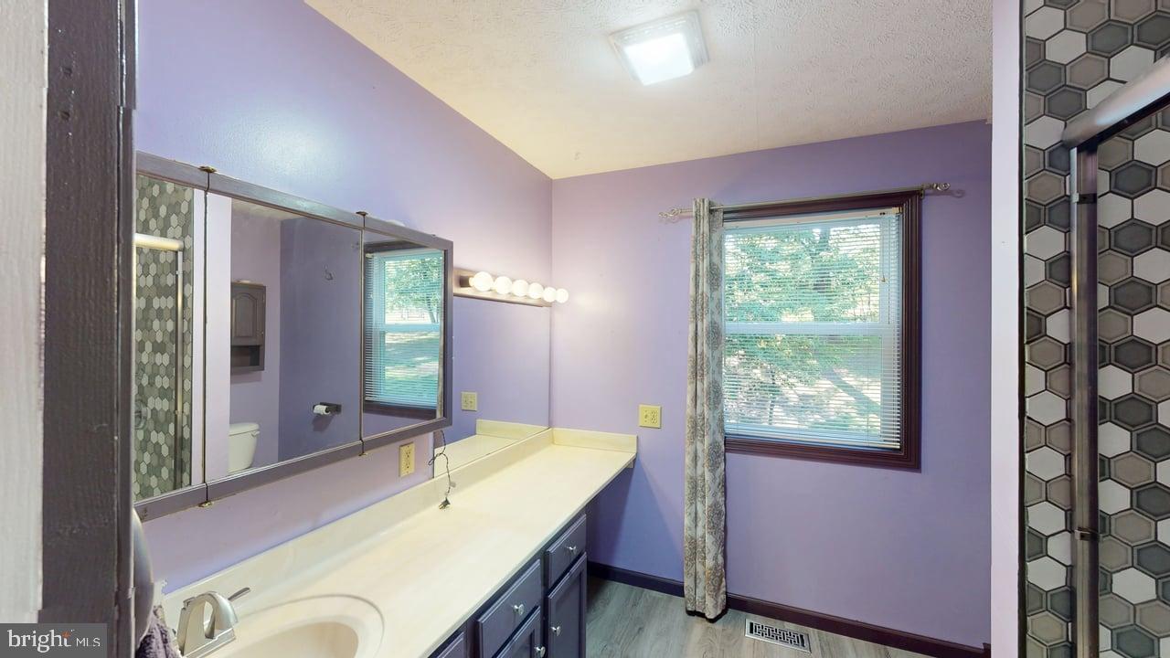 575 North River Highlands Road Delray, WV 26714 - Photo 20 of 48 Charming purple-hued bathroom oasis.