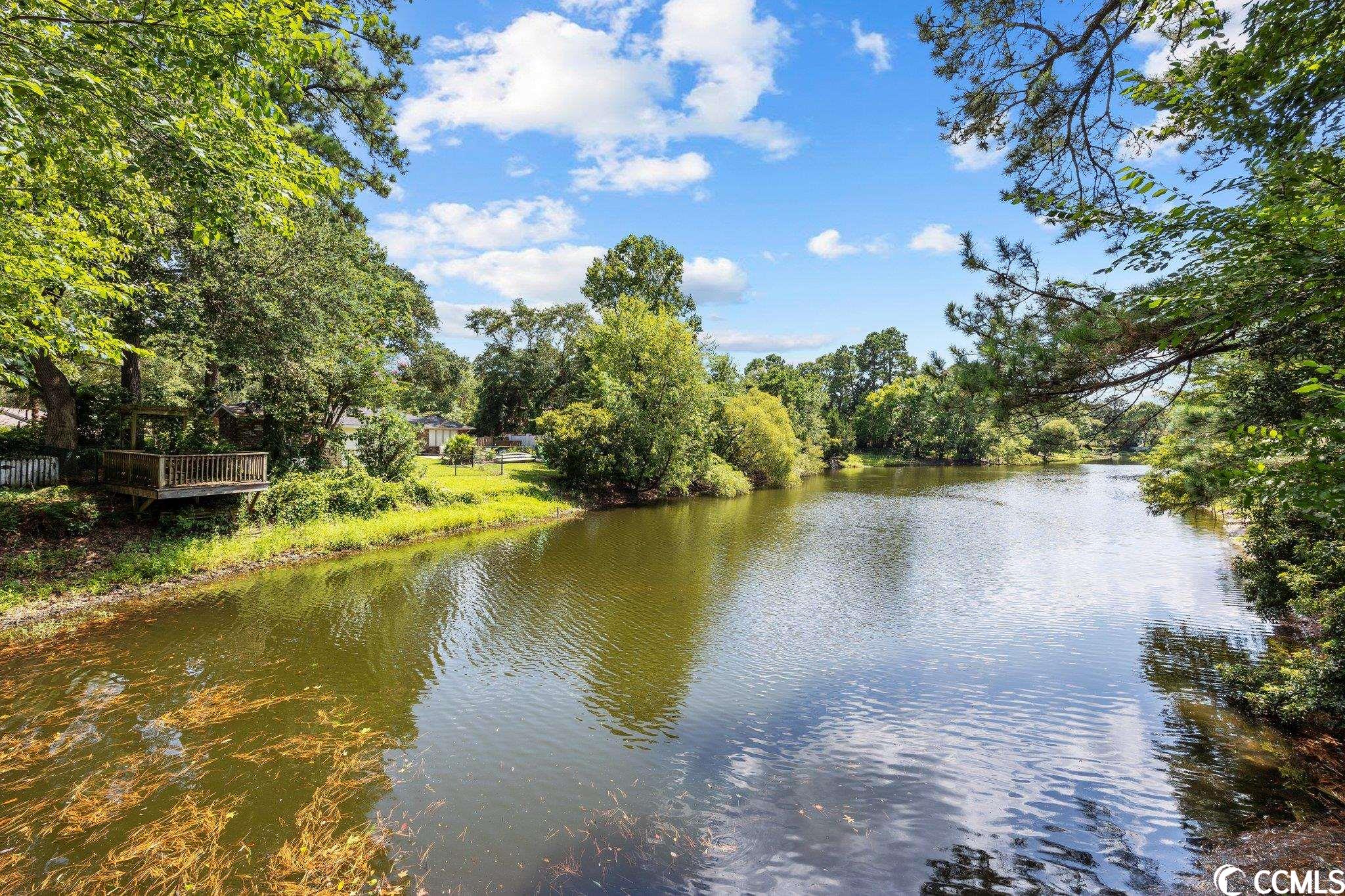 711 Mallard Pond Road Murrells Inlet, SC 29576 - Photo 5 of 36