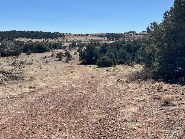 3 B Majors Ranch Road Walsenburg, CO 81089 - Photo 41 of 54
