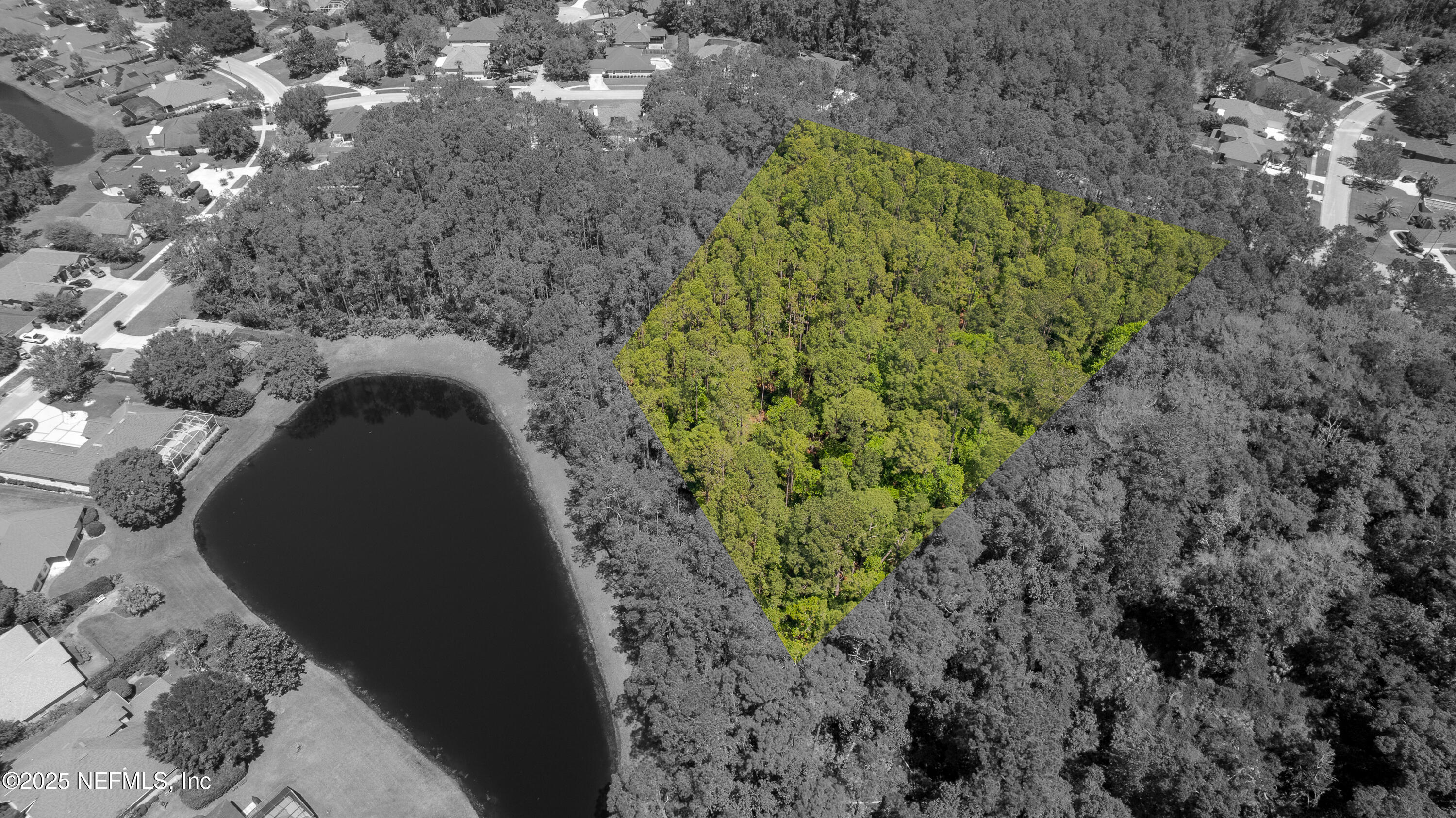 0 Timbermill Road Jacksonville, FL 32256 - Photo 11 of 28 TP-11