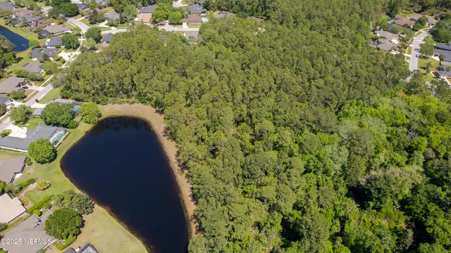 a close up of a plant in a garden